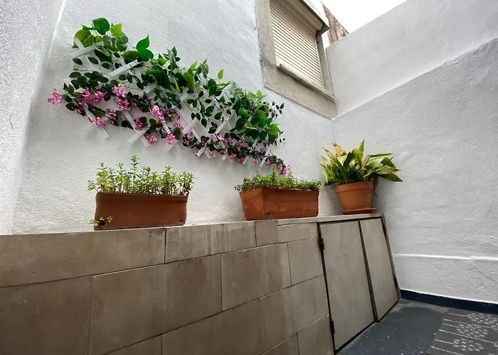 Διαμέρισμα Casa Do Dario A 50 Metros Da De *