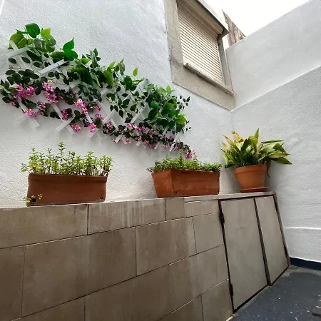 Apartamento Casa Do Dário A 50 Metros Da De *